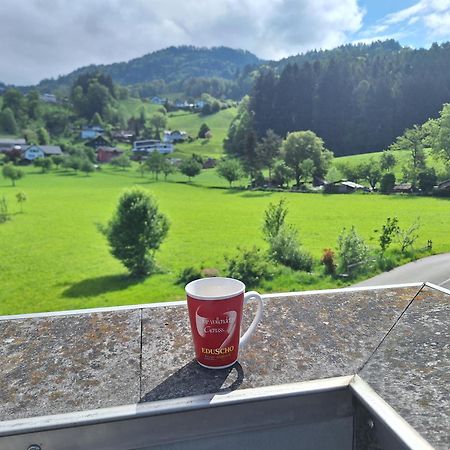 Wohnung Rheintal Im Alpenvorland Batschuns Ngoại thất bức ảnh