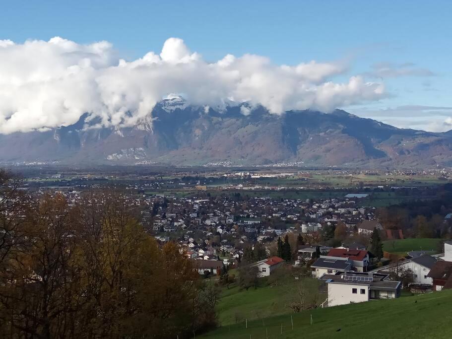 Wohnung Rheintal Im Alpenvorland Batschuns Ngoại thất bức ảnh