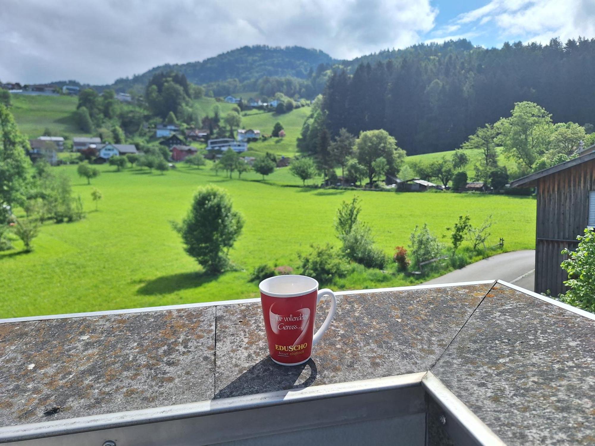 Wohnung Rheintal Im Alpenvorland Batschuns Ngoại thất bức ảnh