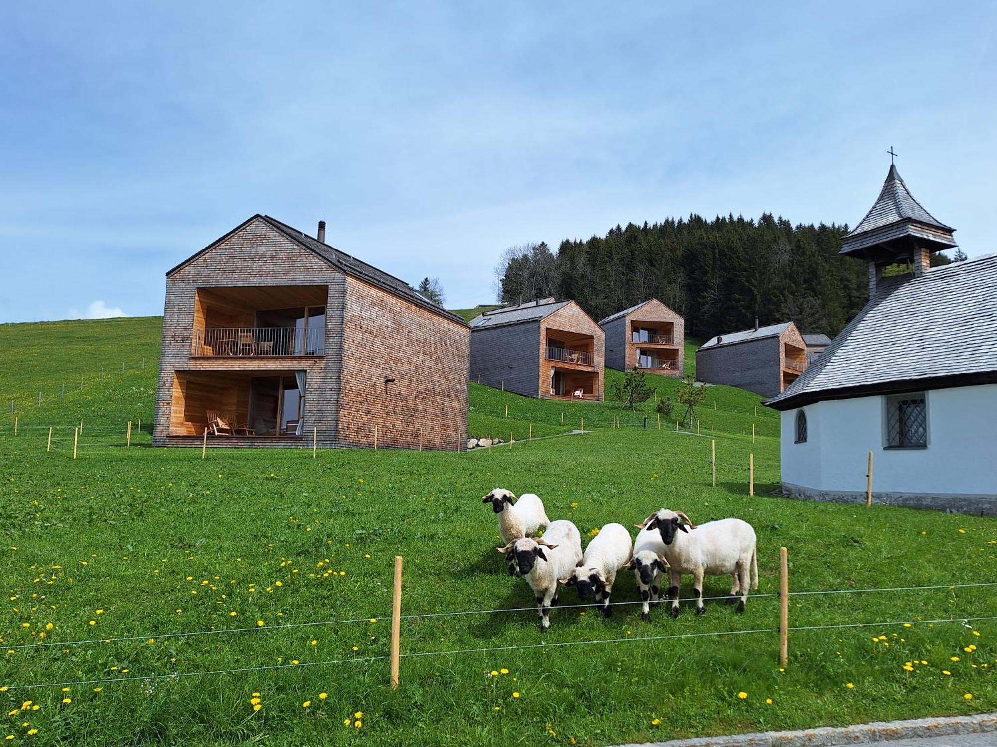 Wohnung Rheintal Im Alpenvorland Batschuns Ngoại thất bức ảnh