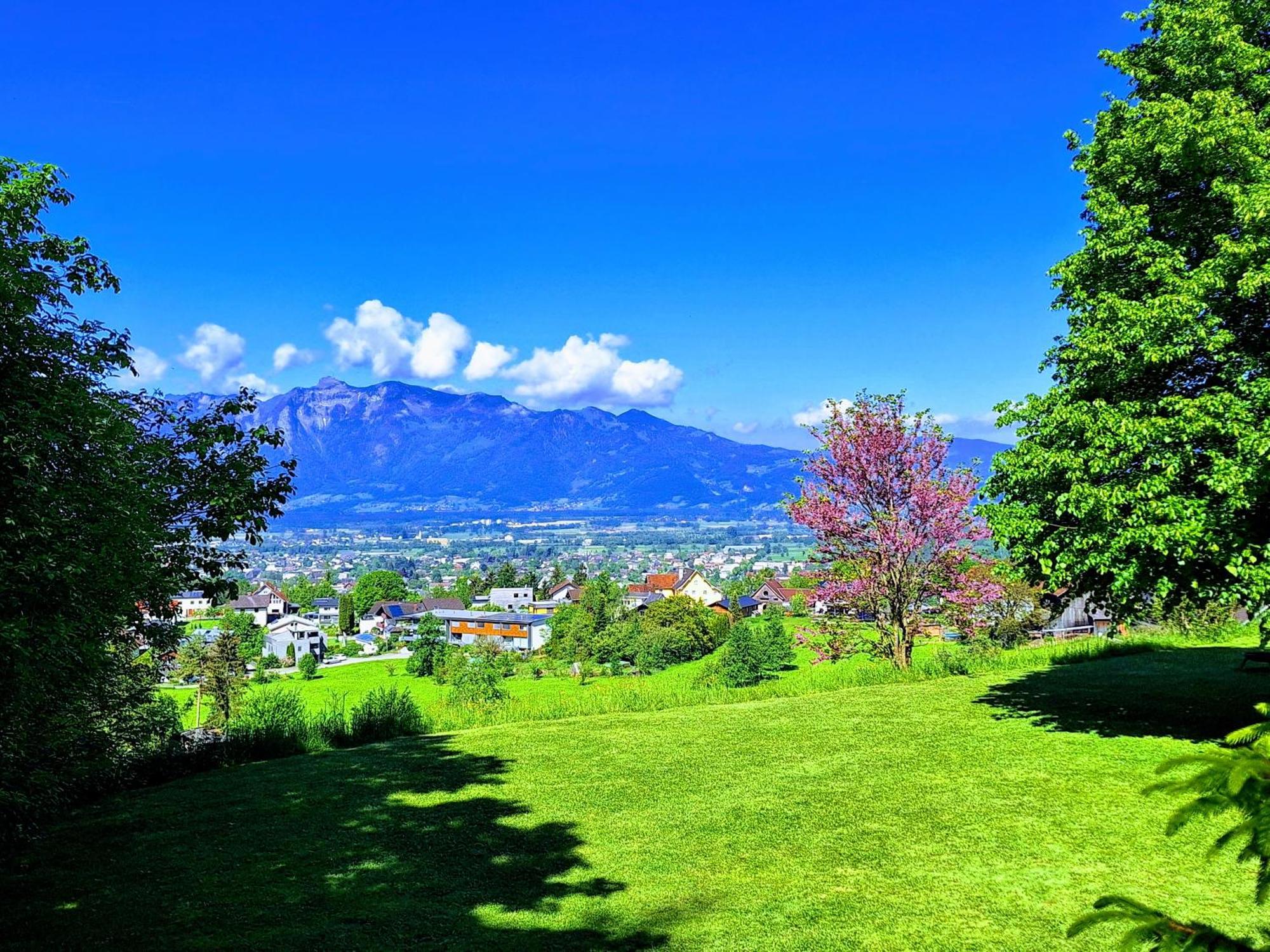 Wohnung Rheintal Im Alpenvorland Batschuns Ngoại thất bức ảnh